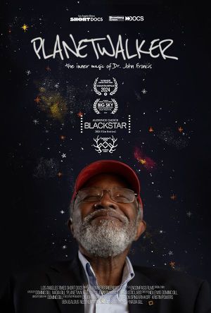 A Symphony of Tiny Lights's poster