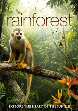 The Secret Life of the Rainforest's poster