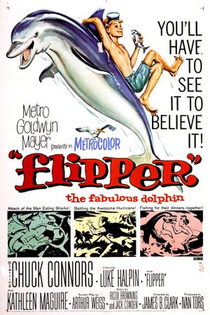 Flipper's poster