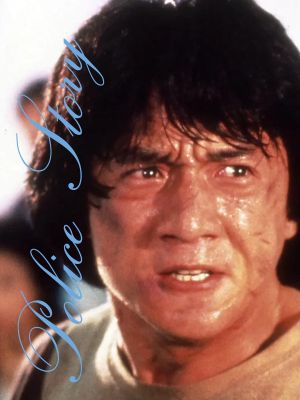 Police Story's poster