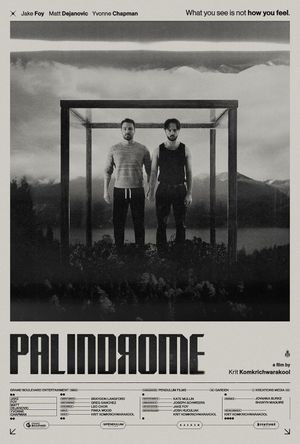 Palindrome's poster