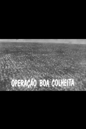 Operação Boa Colheita's poster