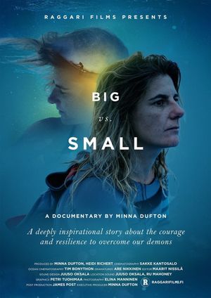 Big vs Small's poster