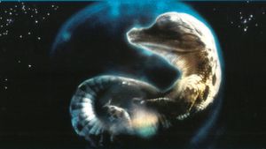 Genesis's poster