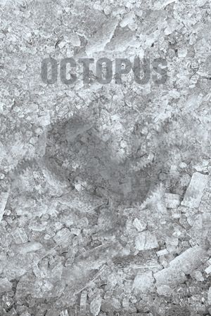 Octopus's poster