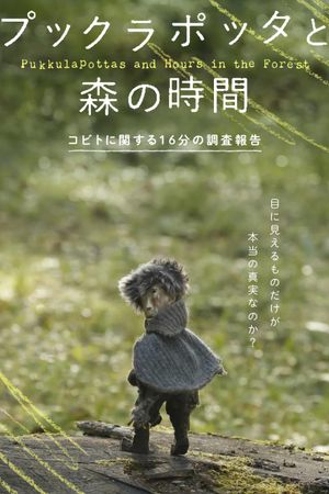 Pukkulapottas and Hours in the Forest's poster