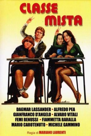 Classe mista's poster