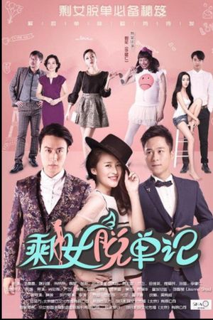 剩女脱单记's poster