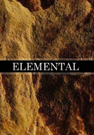 Elemental's poster