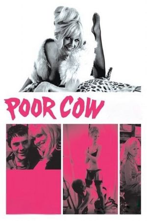 Poor Cow's poster