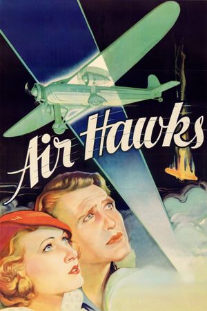 Air Hawks's poster