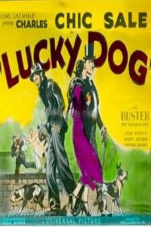 Lucky Dog's poster