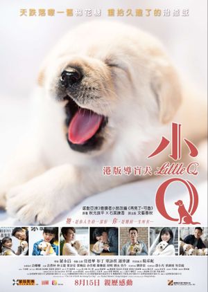 Little Q's poster image
