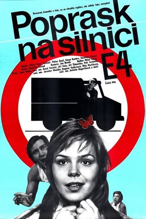 Poprask na silnici E 4's poster