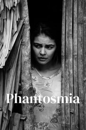 Phantosmia's poster