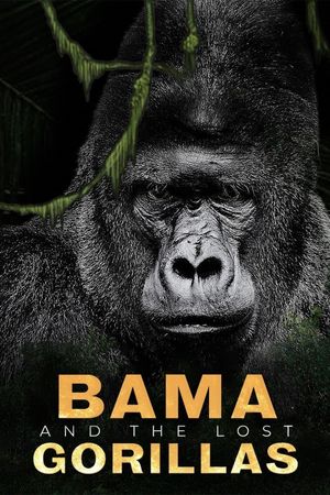 Bama and the Lost Gorillas's poster