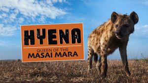 Hyena: Queen of the Masai Mara's poster