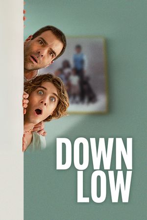 Down Low's poster