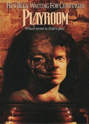 Playroom's poster
