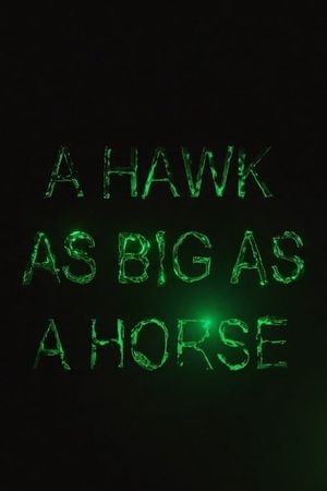 A Hawk as Big as a Horse's poster image