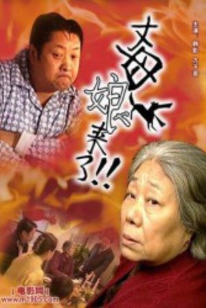 丈母娘来了's poster image