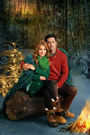 Christmas Under Wraps's poster