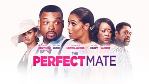 The Perfect Mate's poster