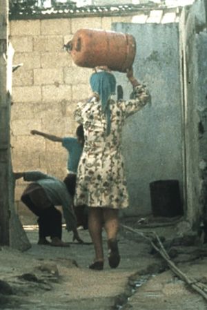 Palestinian Women's poster