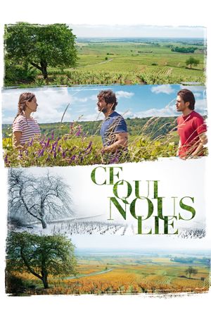 Back to Burgundy's poster