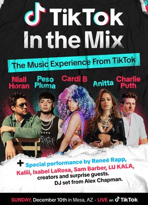 TikTok: In the Mix's poster