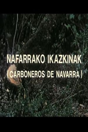 Nafarrako ikazkinak's poster