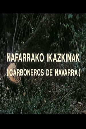 Nafarrako ikazkinak's poster image