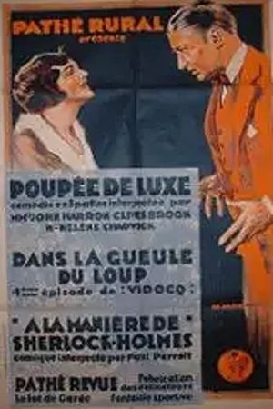 The Woman Hater's poster