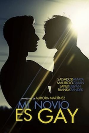 My Boyfriend Is Gay's poster
