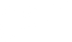 Cats's poster