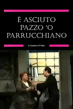 È asciuto pazzo ‘o parrucchiano's poster