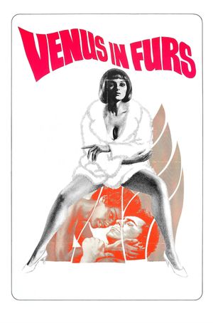 Venus in Furs's poster image