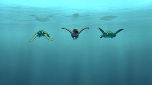 The Red Turtle's poster
