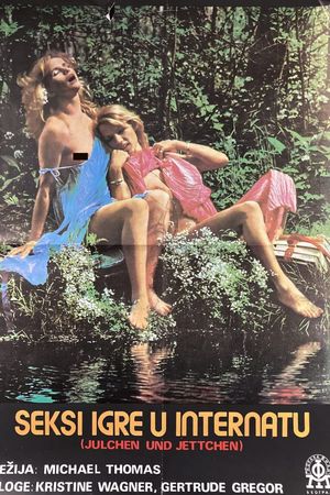 The Amorous Sisters's poster