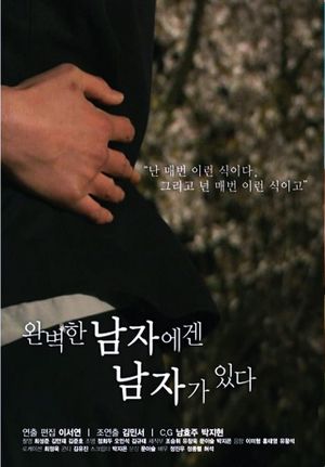 The Perfect Man's Man's poster