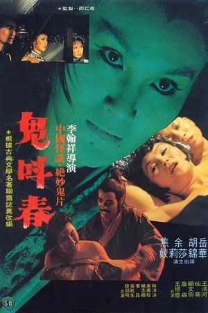 The Ghost Story's poster