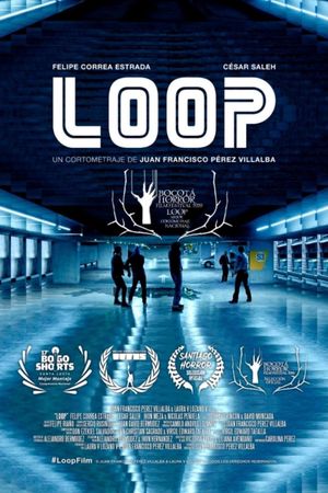 Loop's poster image