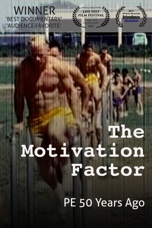 The Motivation Factor: to Become Smart, Productive & Mentally Stable's poster image