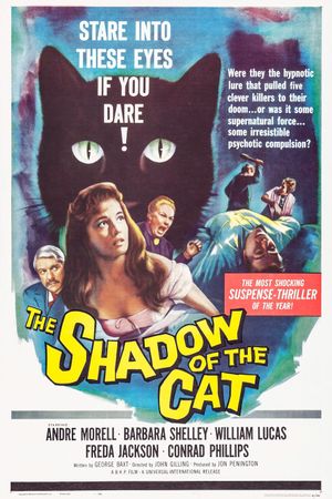 The Shadow of the Cat's poster