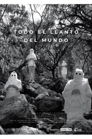 Todo el llanto del mundo's poster