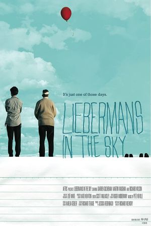 Liebermans in the Sky's poster