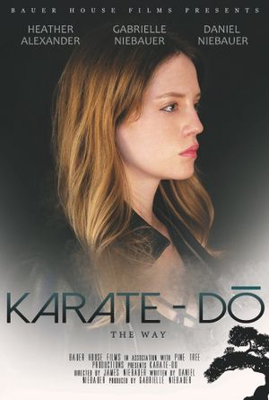 Karate Do's poster image