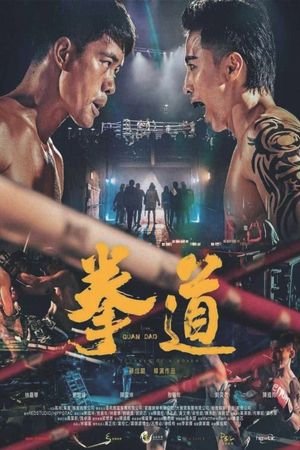 The Journey of a Boxer's poster