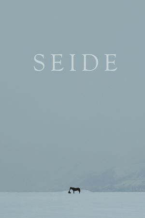 Seide's poster