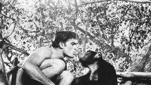 Tarzan and the Valley of Gold's poster